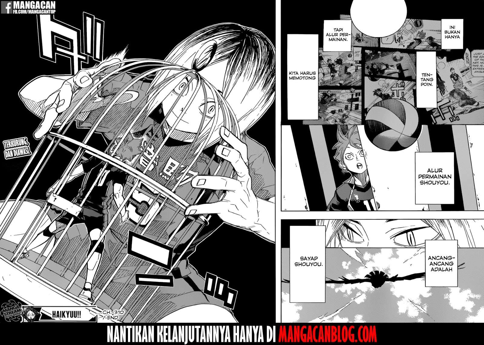 Haikyuu!! Chapter 310 Gambar 17