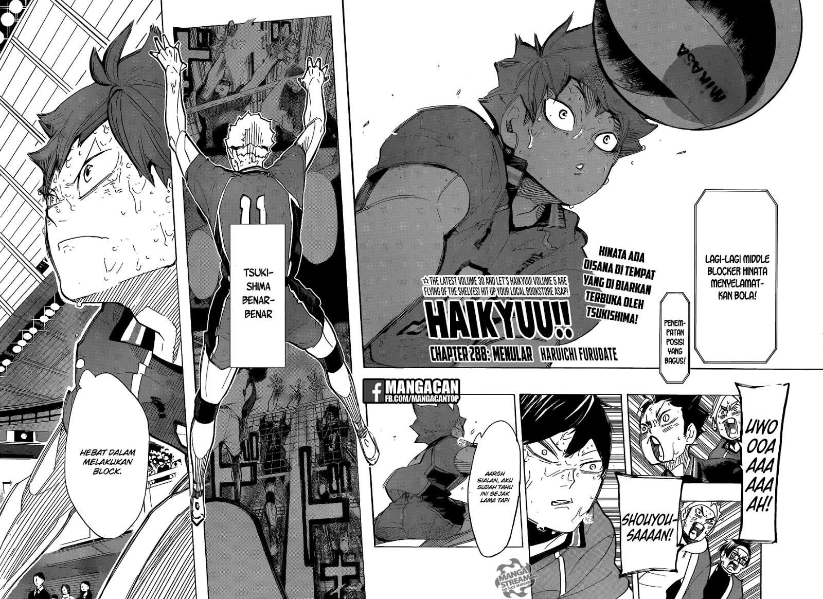 Haikyuu!! Chapter 288 Gambar 4
