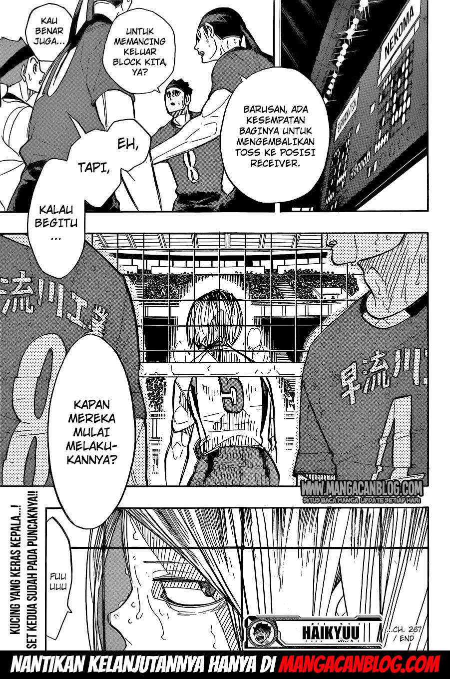 Haikyuu!! Chapter 267 Gambar 20