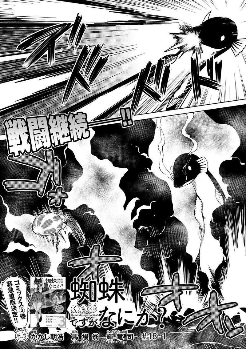 Manga Kumo desu ga, Nani ka? Chapter 18.1 gambar nomor 2