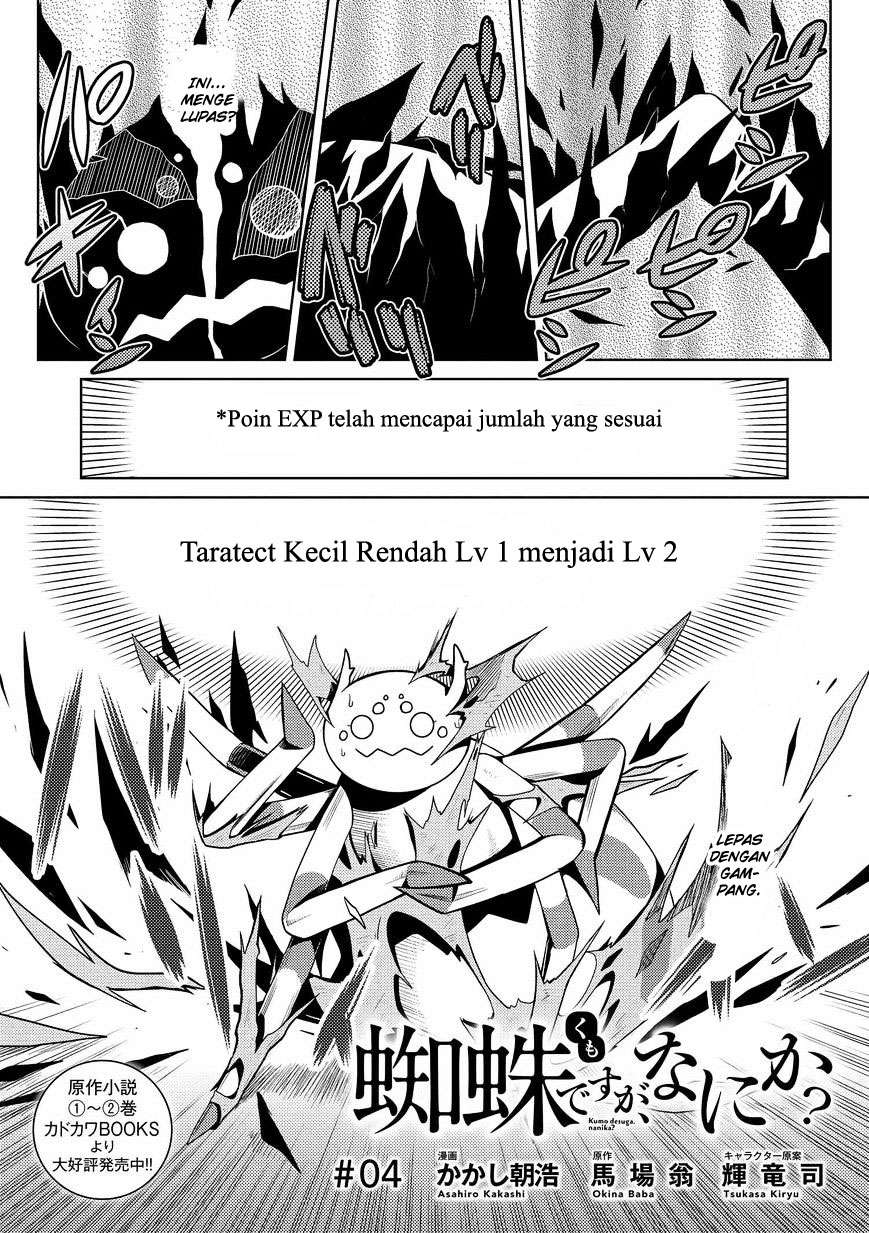 Manga Kumo desu ga, Nani ka? Chapter 4 gambar nomor 2