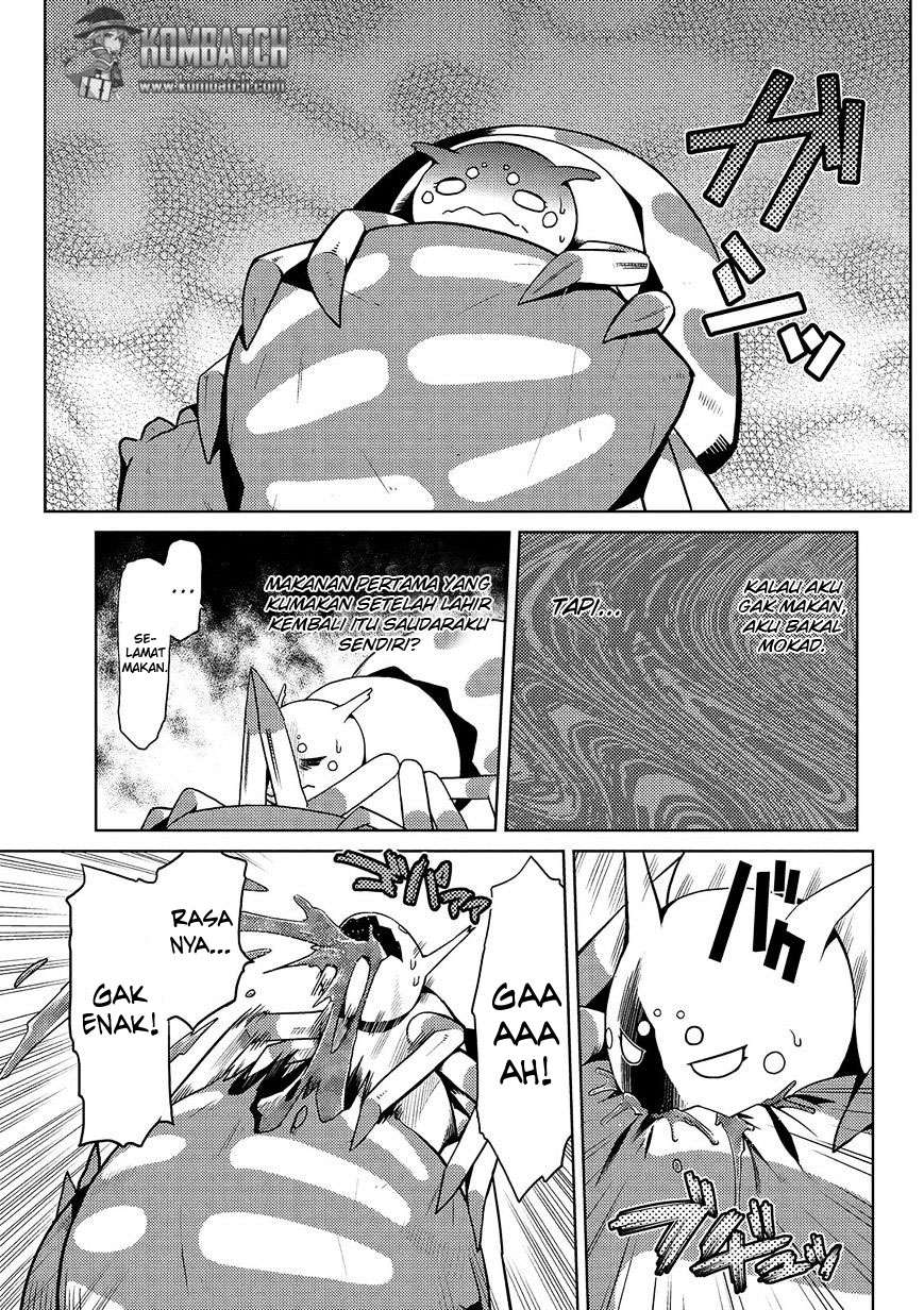 Kumo desu ga, Nani ka? Chapter 1.2 Gambar 10