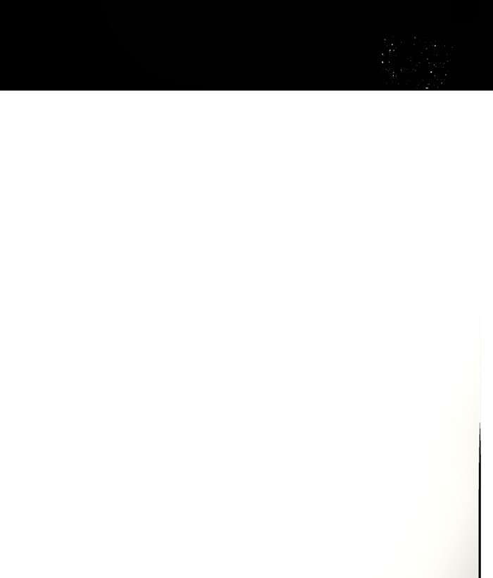 Nano List Chapter 135 Gambar 27