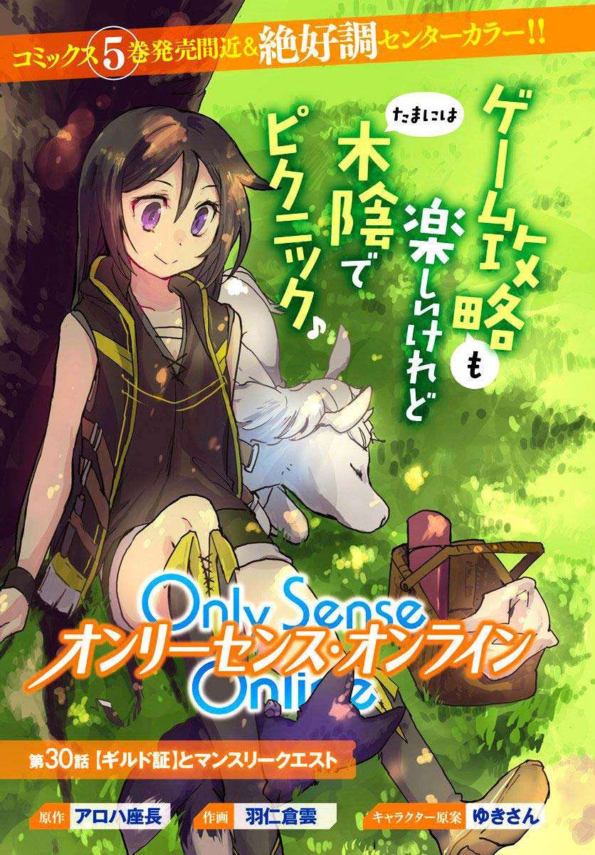 Komik Only Sense Online Chapter 30 gambar nomor 1
