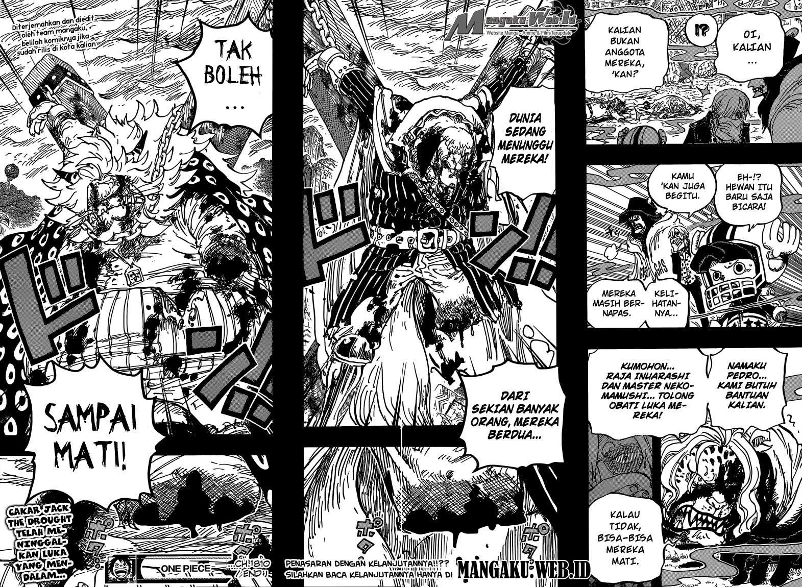 One Piece Chapter 810 Gambar 20
