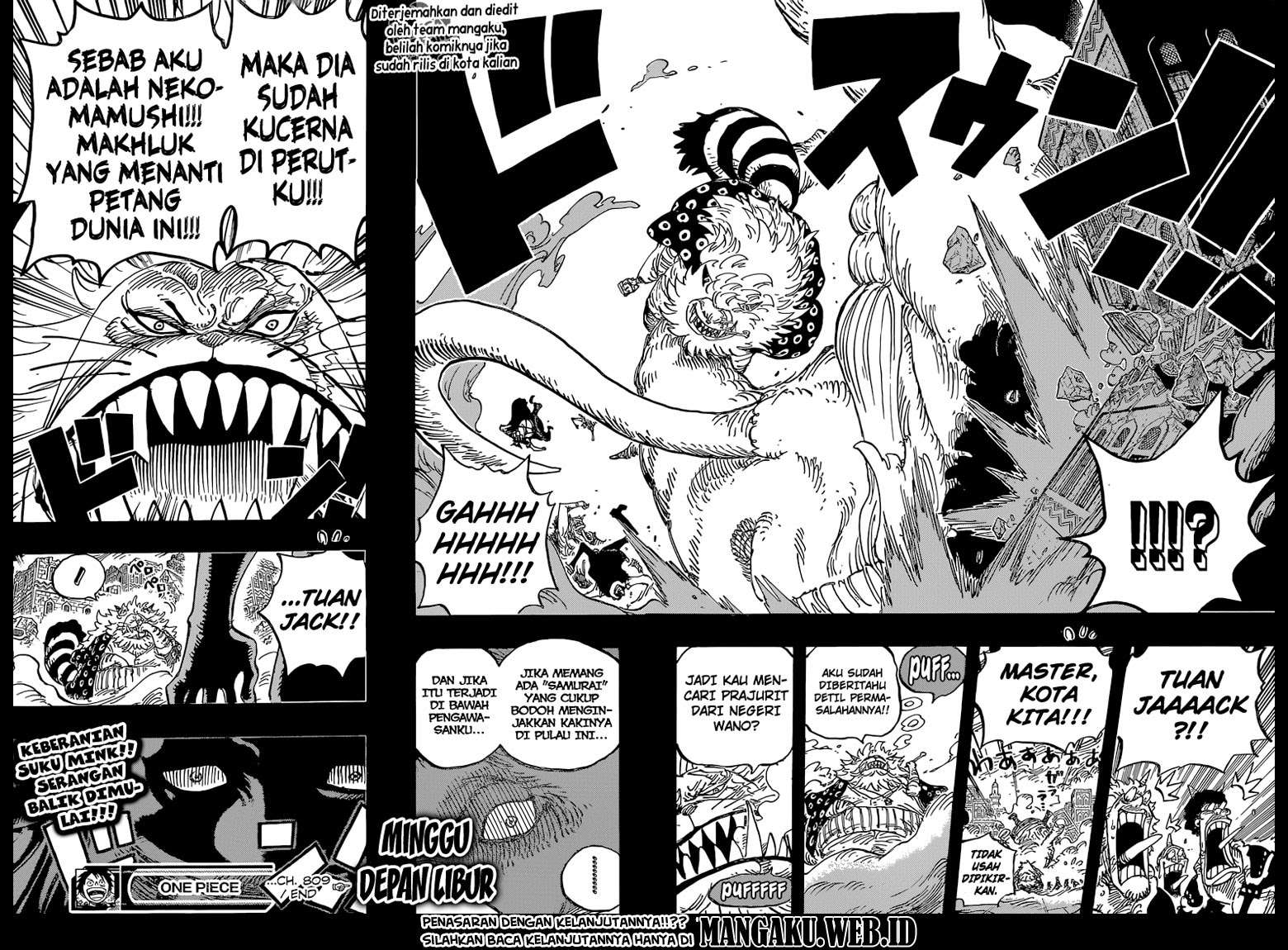 One Piece Chapter 809 Gambar 18