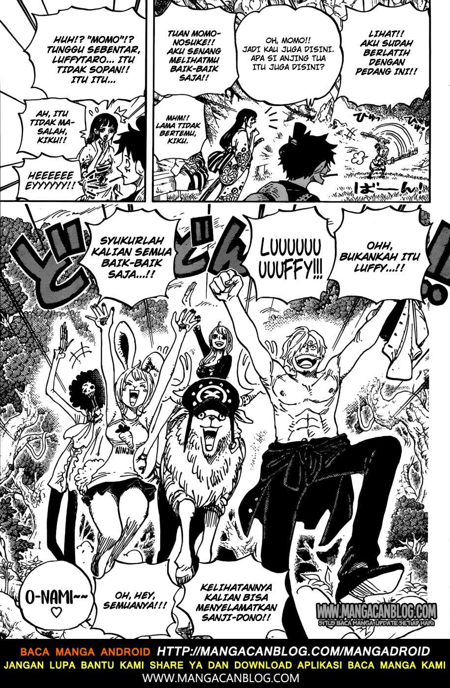 One Piece Chapter 919 Gambar 14