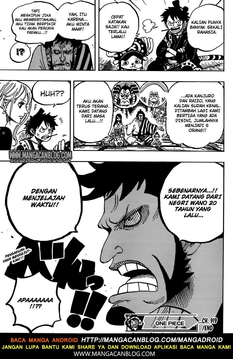 One Piece Chapter 919 Gambar 16