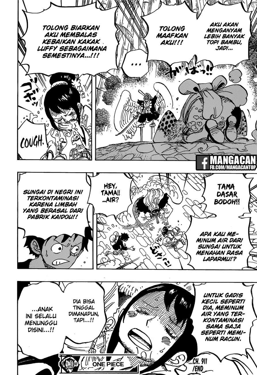 One Piece Chapter 911 Gambar 17
