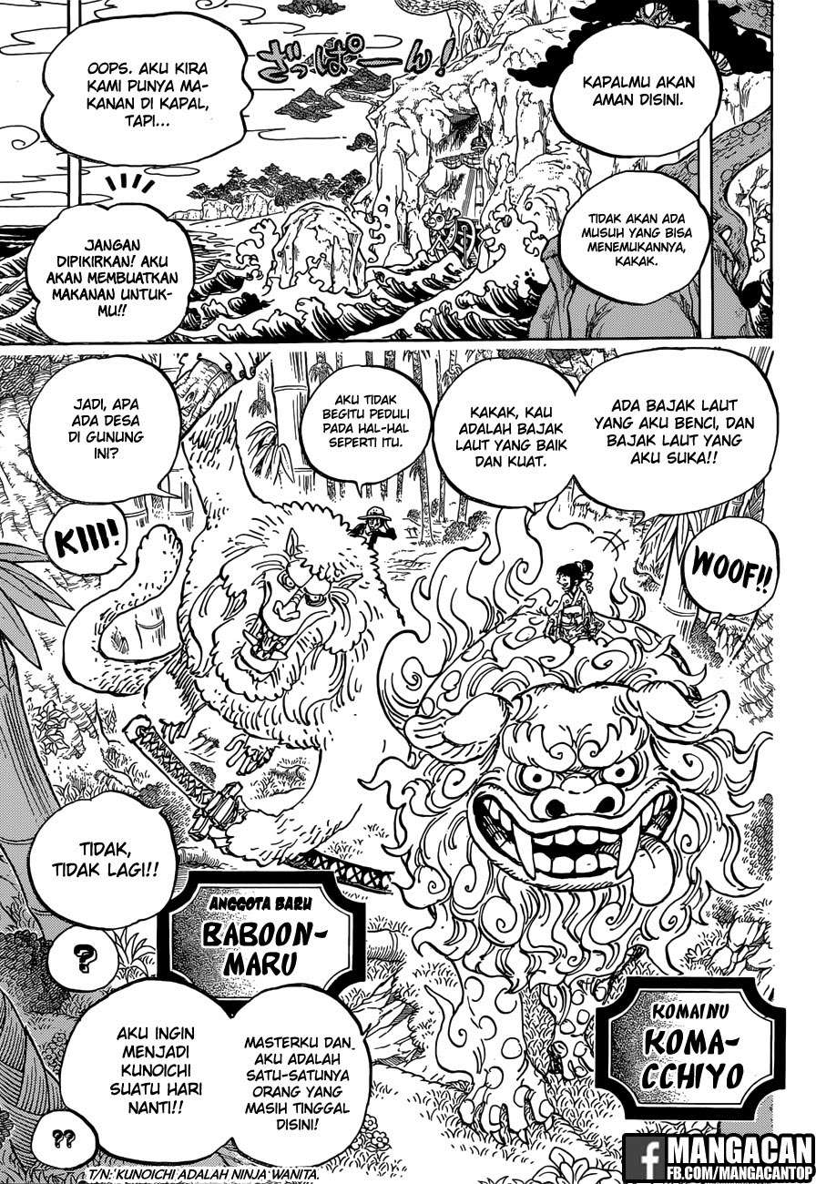 One Piece Chapter 911 Gambar 13
