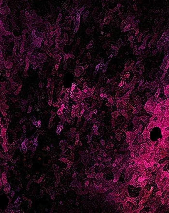 Change Season 2 Chapter 50 Gambar 67