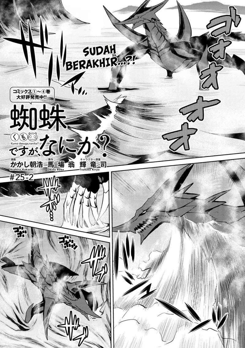 Manga Kumo desu ga, Nani ka? Chapter 25.2 gambar nomor 2